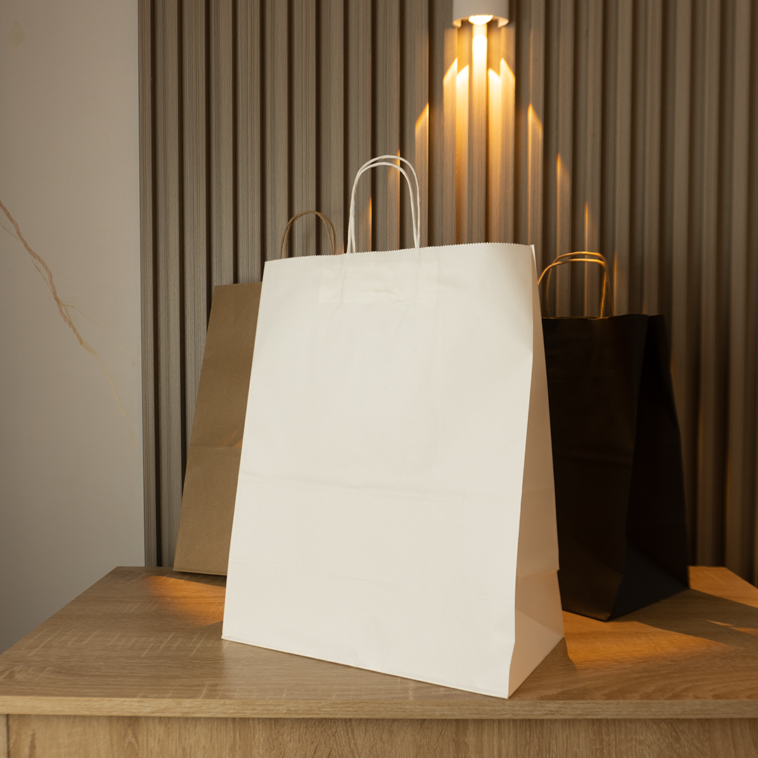 Bolsas de Papel Lisas Sin logo