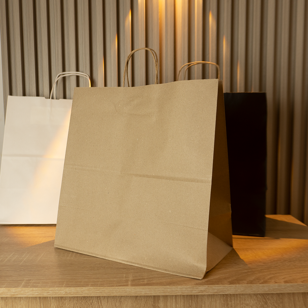Bolsas de Papel Lisas Sin logo