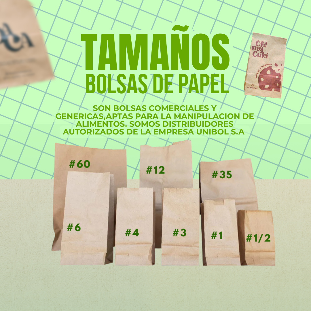 Bolsas de papel Sin Manigueta