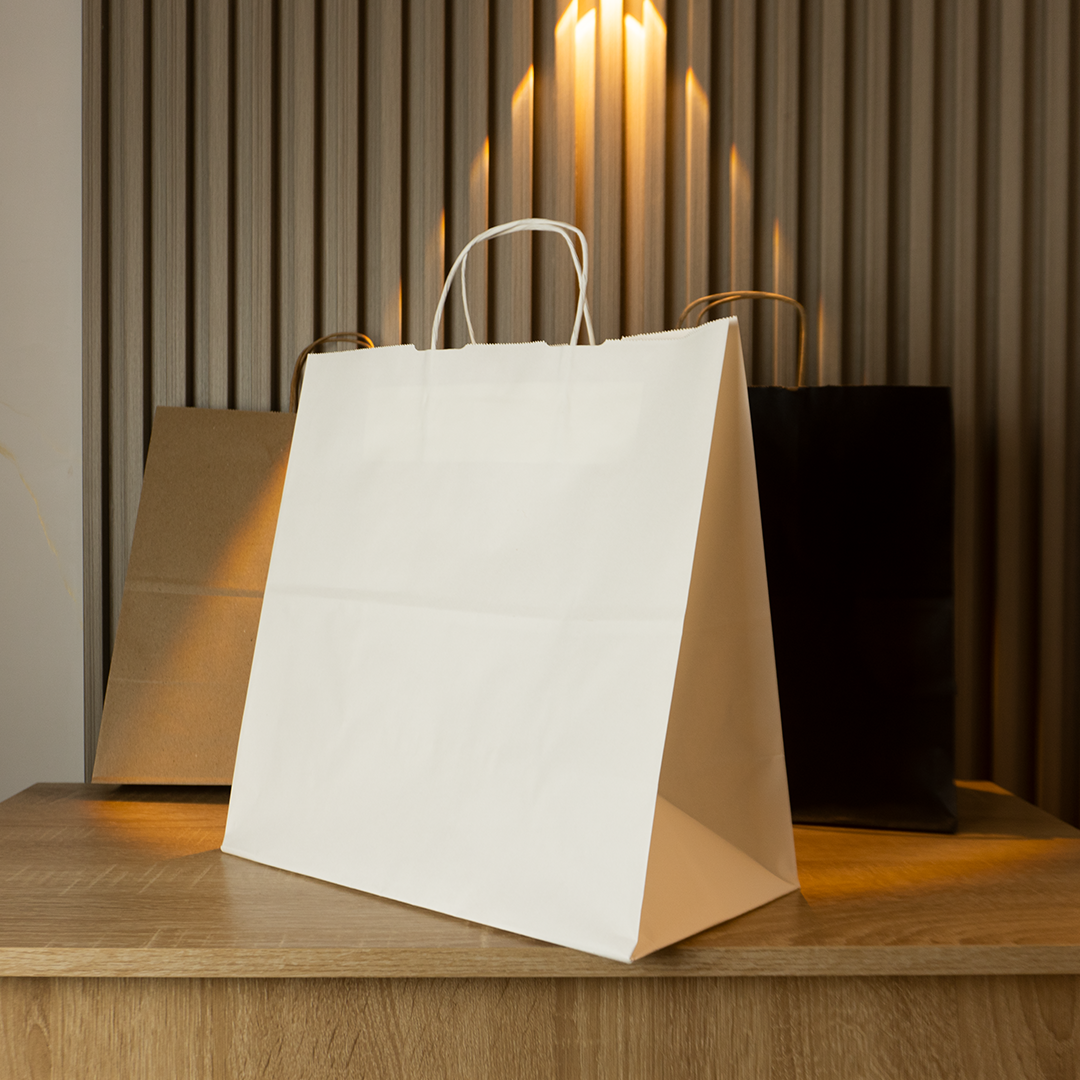 Bolsas de Papel Lisas Sin logo