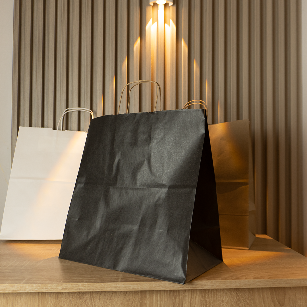Bolsas de Papel Lisas Sin logo