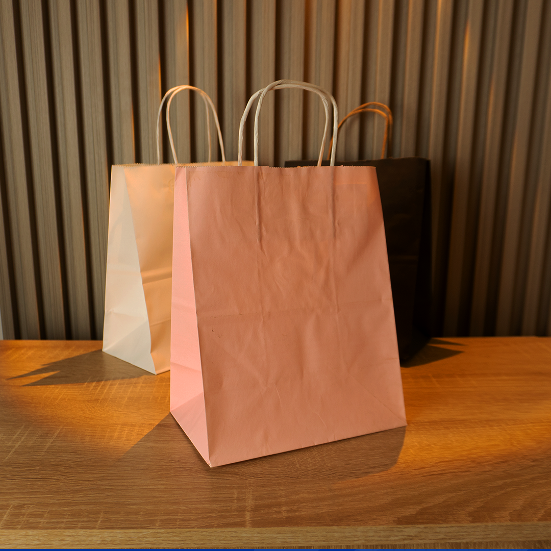 Bolsas de Papel Lisas Sin logo
