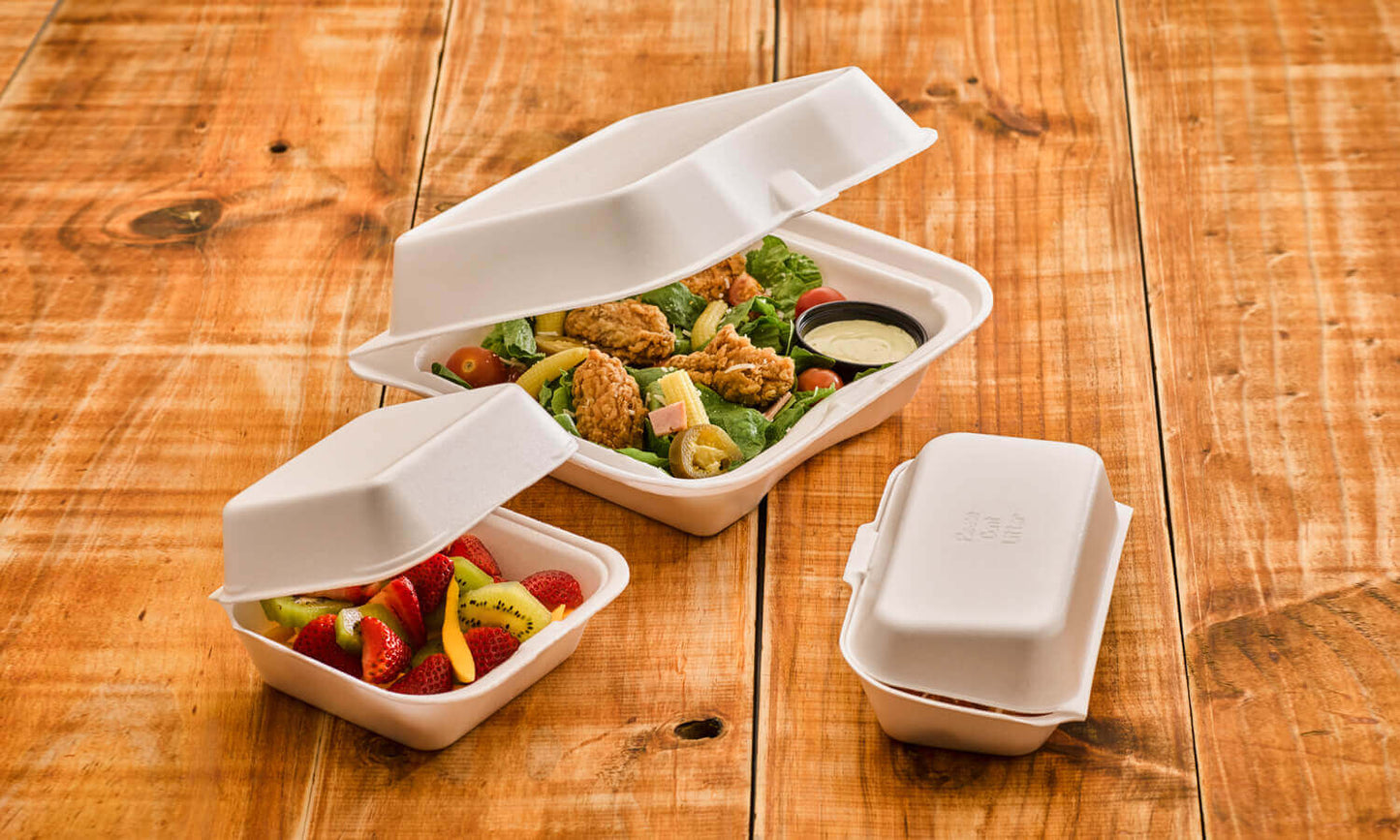 Portacomidas Platos desechables con tapa de icopor